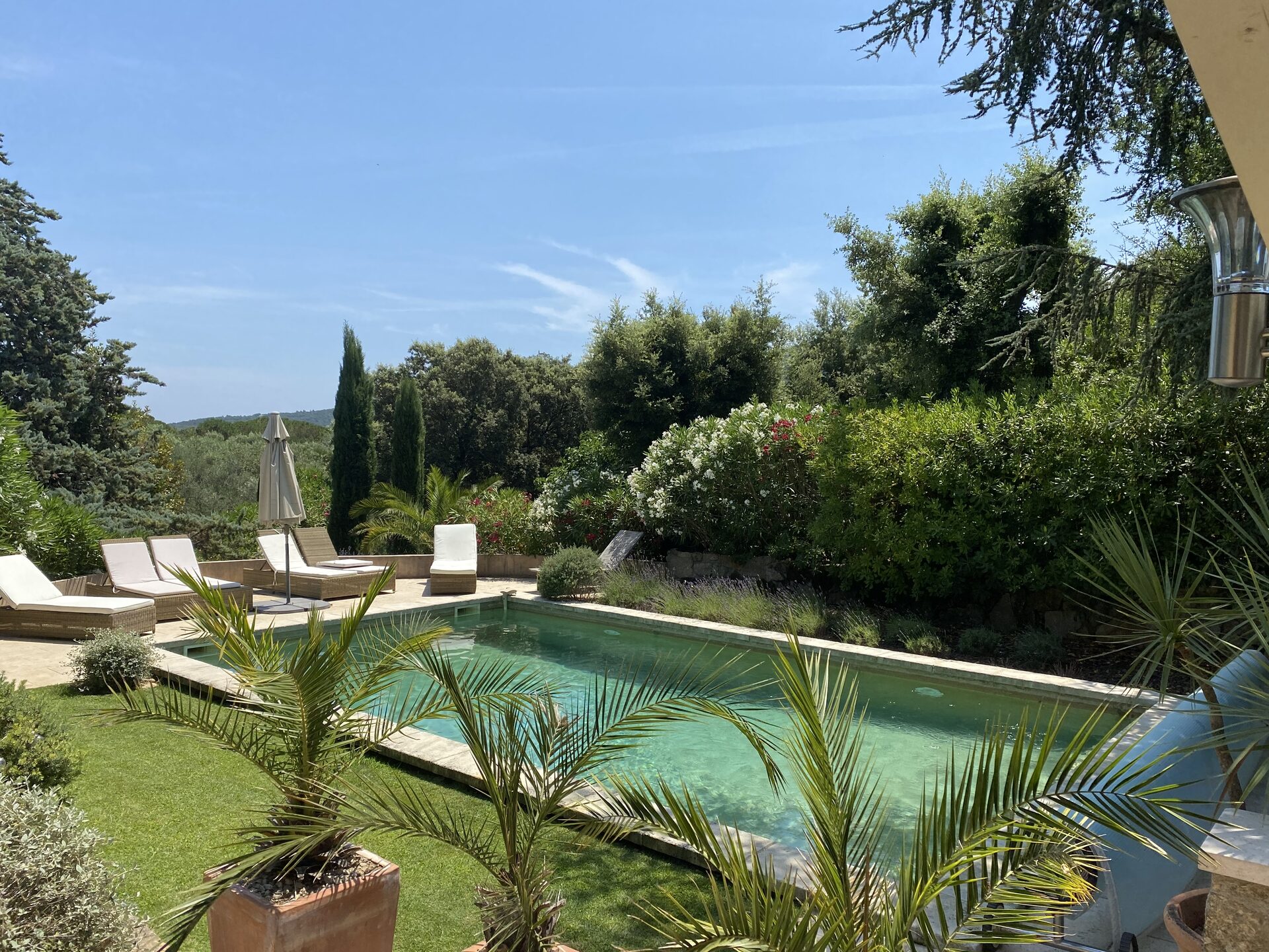 Terrace and garden