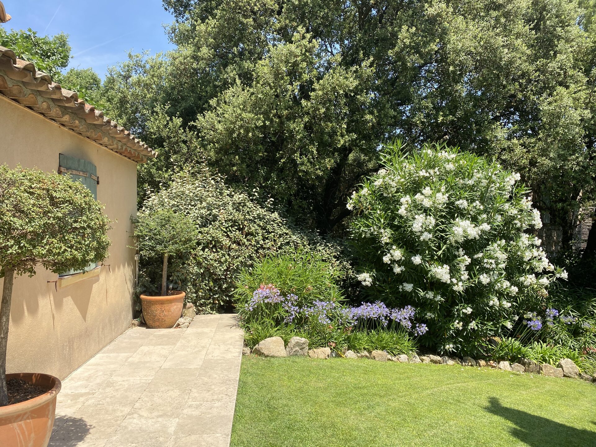 Garden view from terrace