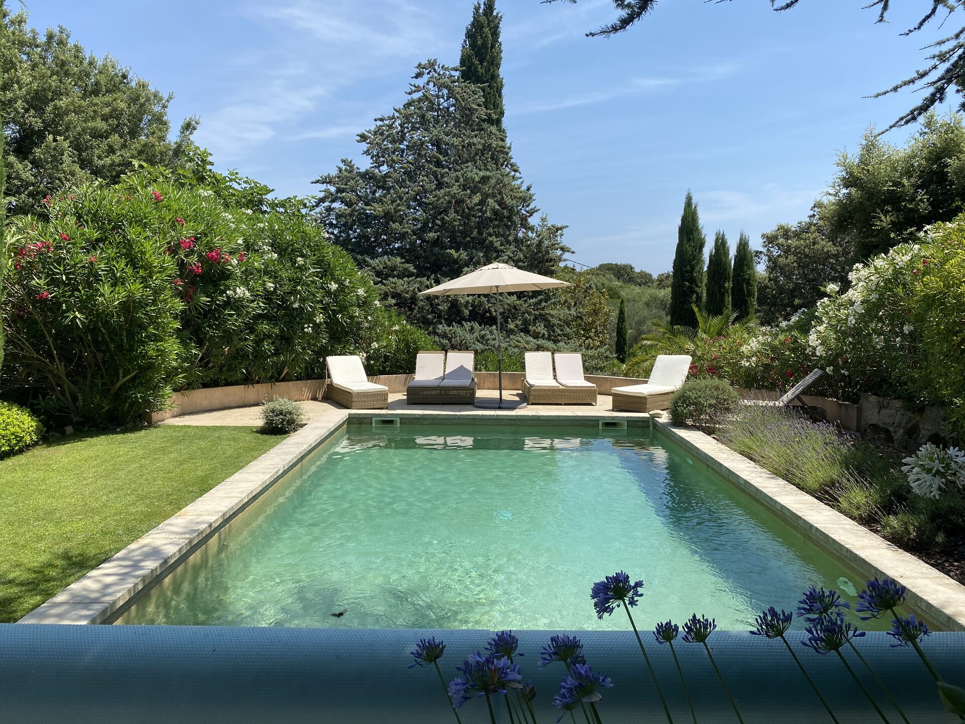 Pool and lavender