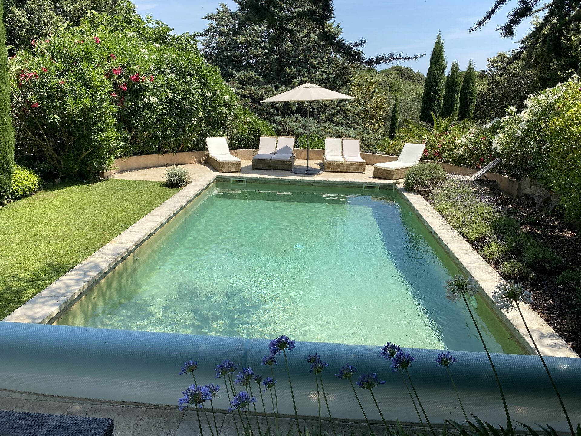 Outdoor terrace and pergola