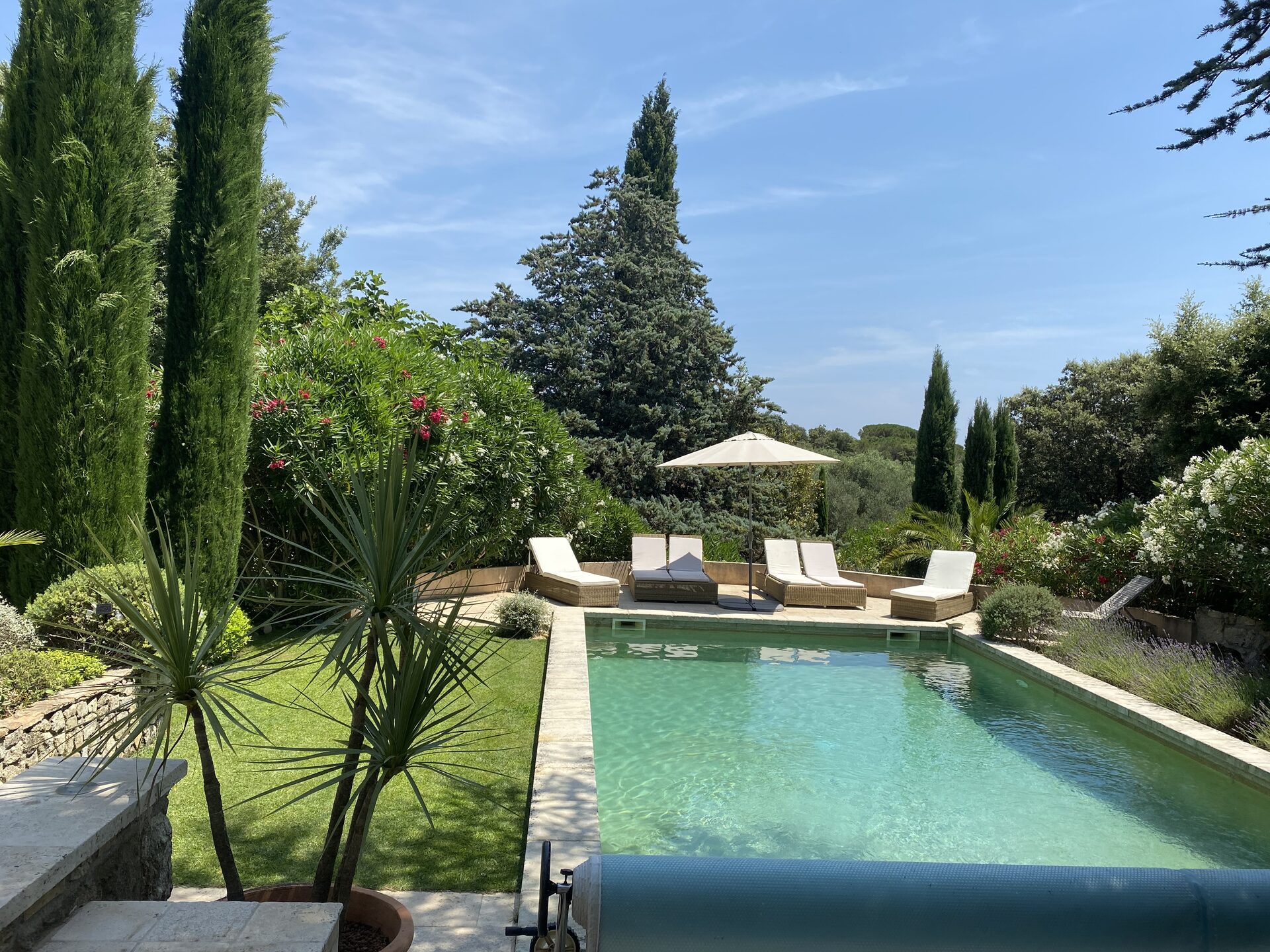 Pool and gardens