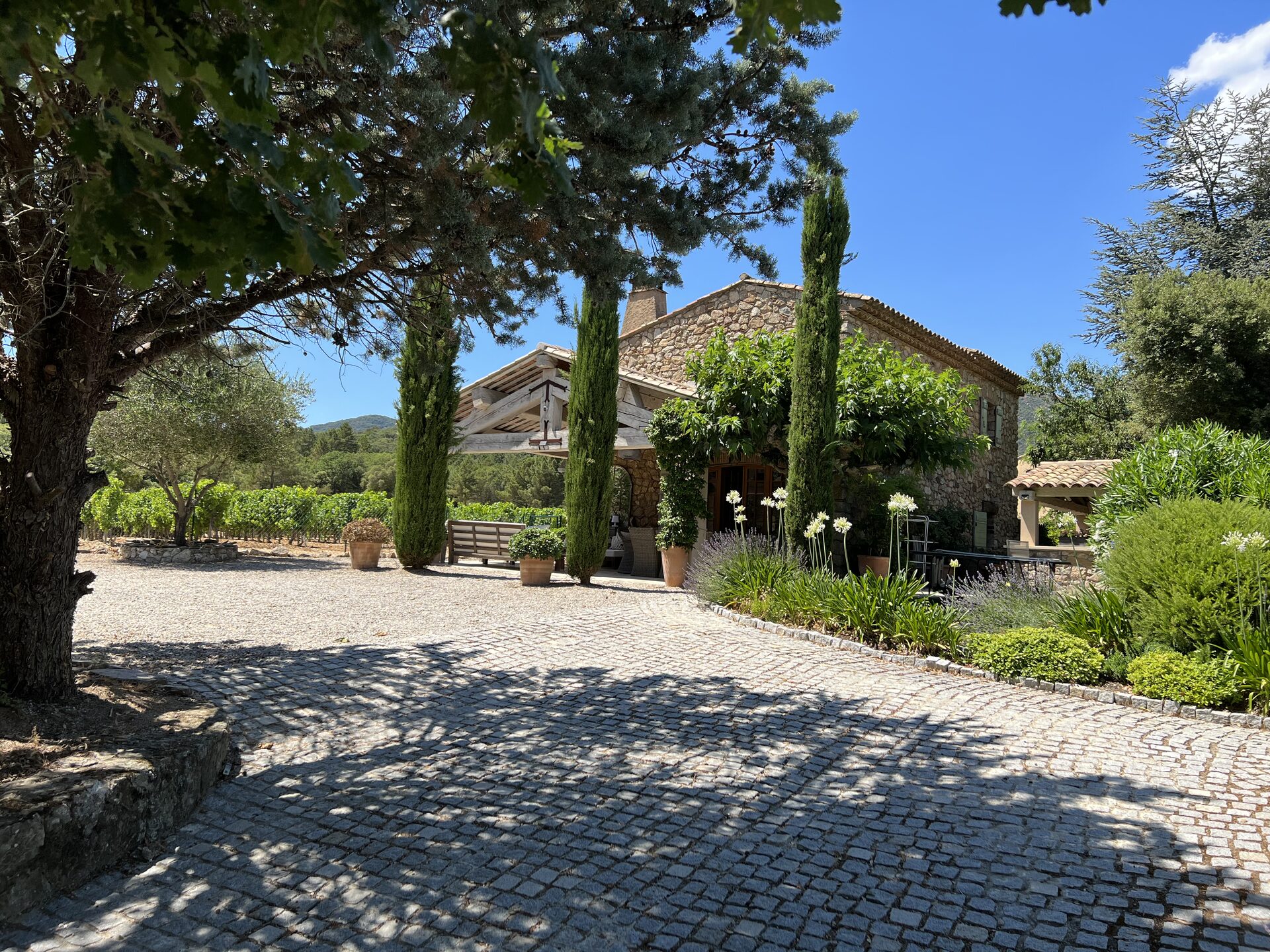 Pool house and terrace