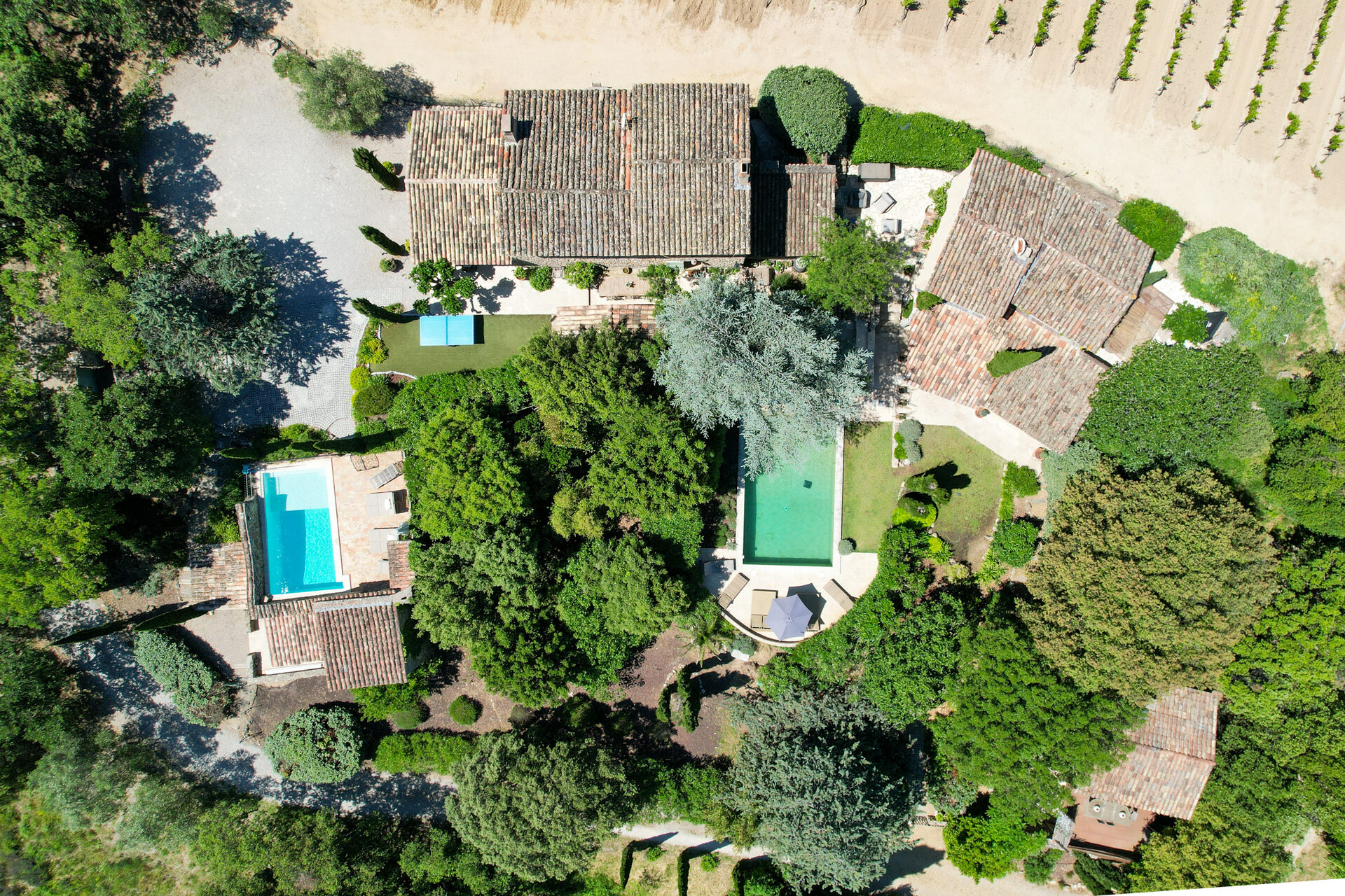 Aerial vineyard and hamlet